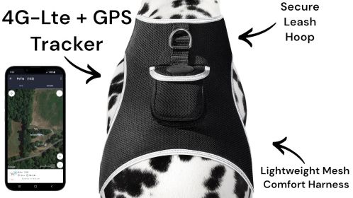 NEW Budget Friendly Pet Tracker GPS Pet Locator - Best Dog Tracking Device