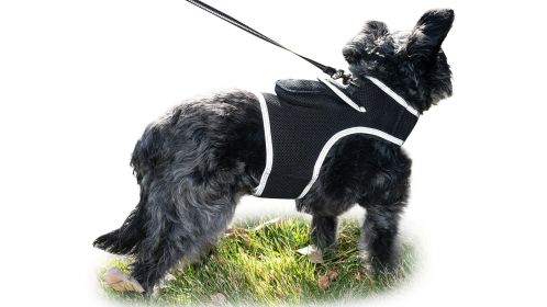 Mini Quad Band Realtime Pet GSM GPRS GPS Tracker w/ Geo-Fence Settings Size:L