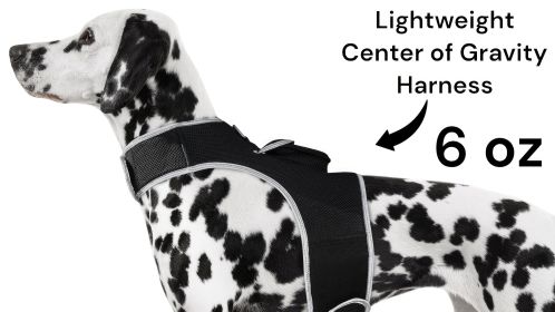 Mini Waterproof GPS Tracking Collar Mount Rechargeable Pet Tracker Size:L