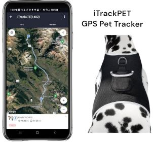 Get Realtime Location Update w/ Pet Tracker GPS Collars for Dogs Size:M