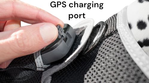 Get Realtime Pet Locations w/ Pet Tracker Mini Dog GPS Tracking